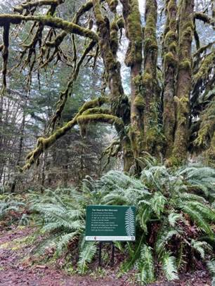 Celebrate Poetry Month with trail walks, events, contest