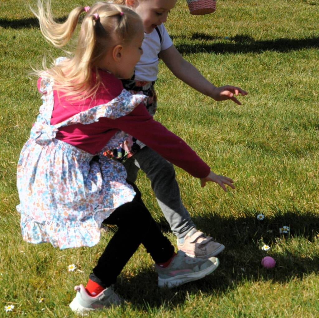 Alexis and Scarlett McClanahan reach for the pink egg during the 0 to 4-year-old hunt.