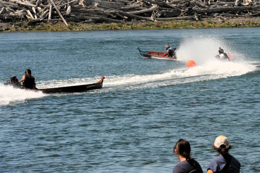 Quileute Days canoe races took place Saturday on the Quillayute River.