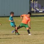 The Seahawks in blue closed in on the goal against the Puss In Boots in the 7-to 9-year-old category.