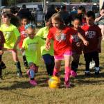 The Watermelon Kickers in yellow were not much afraid of the Red Dragons in another of the 4-to 6-year-old contests.