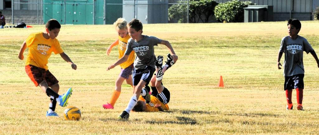 Some teams, at times, cant decide on a team name. When this happens, why not just name your team the No Names? Thats exactly what the yellow team decided. Pictured here, there were definitely ups and downs in this fast-moving game known as soccer when the No Names took on the Wolves.